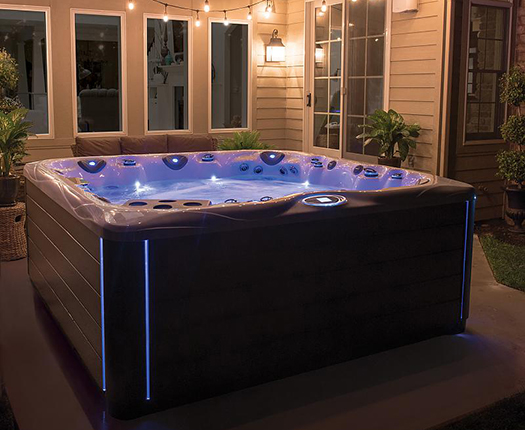 Спа бассейн Master Spas Legend LSX 700 (рис.1)